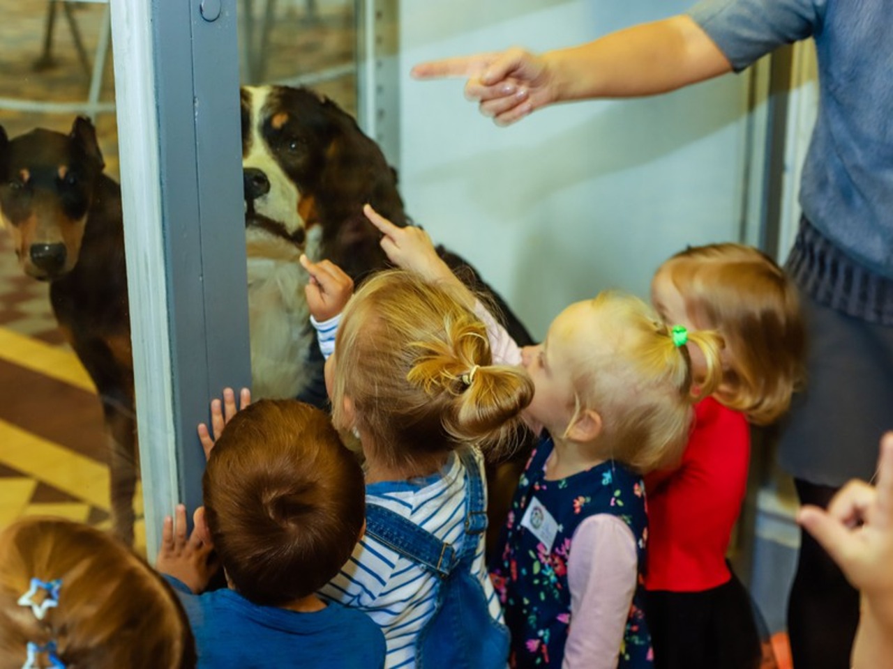 В Зоологический музей всей семьёй | Цена 5250₽, отзывы, описание экскурсии