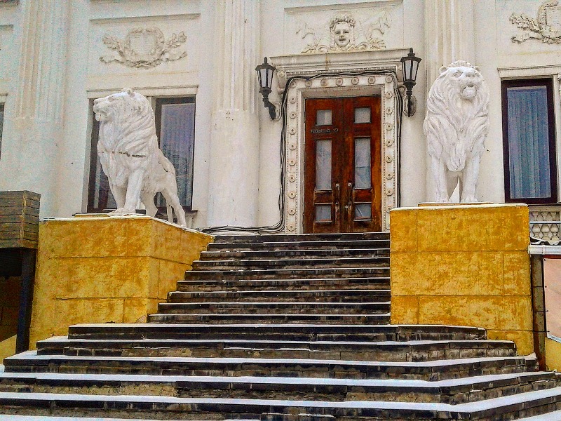 Львы
