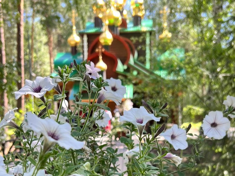 Цветы