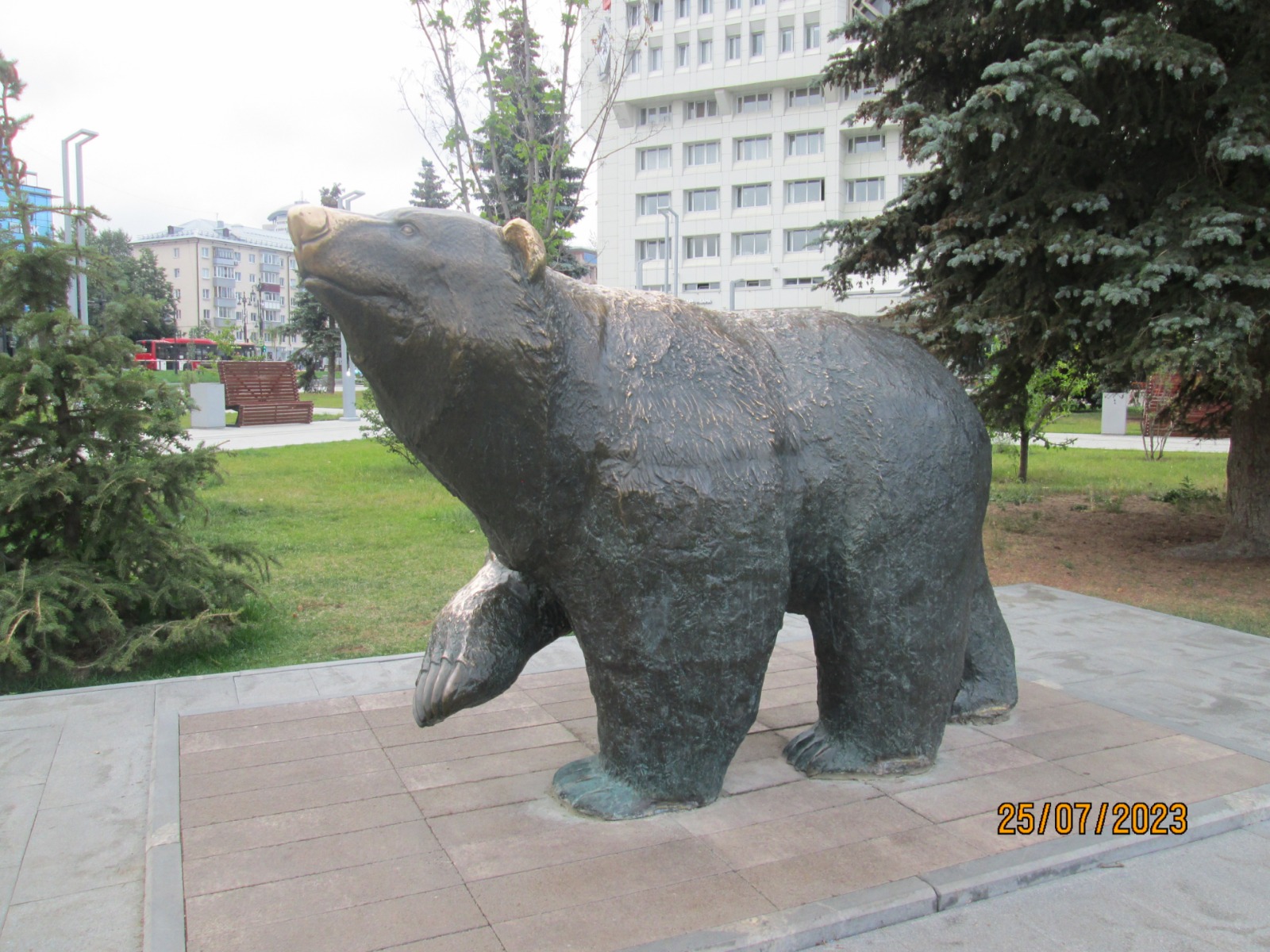 Медведь - cимвол Пермского края