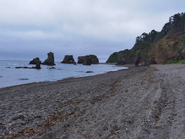 Экскурсия на мыс Великан/Птичий + останец Лягушка одним днём — фото 3