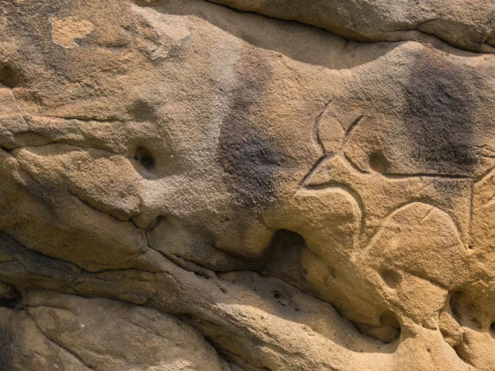Ущелье Марковых, древние наскальные рисунки