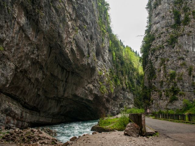 Обзорная экскурсия из Гагры «Жемчужина Абхазии — озеро Рица» — фото 3