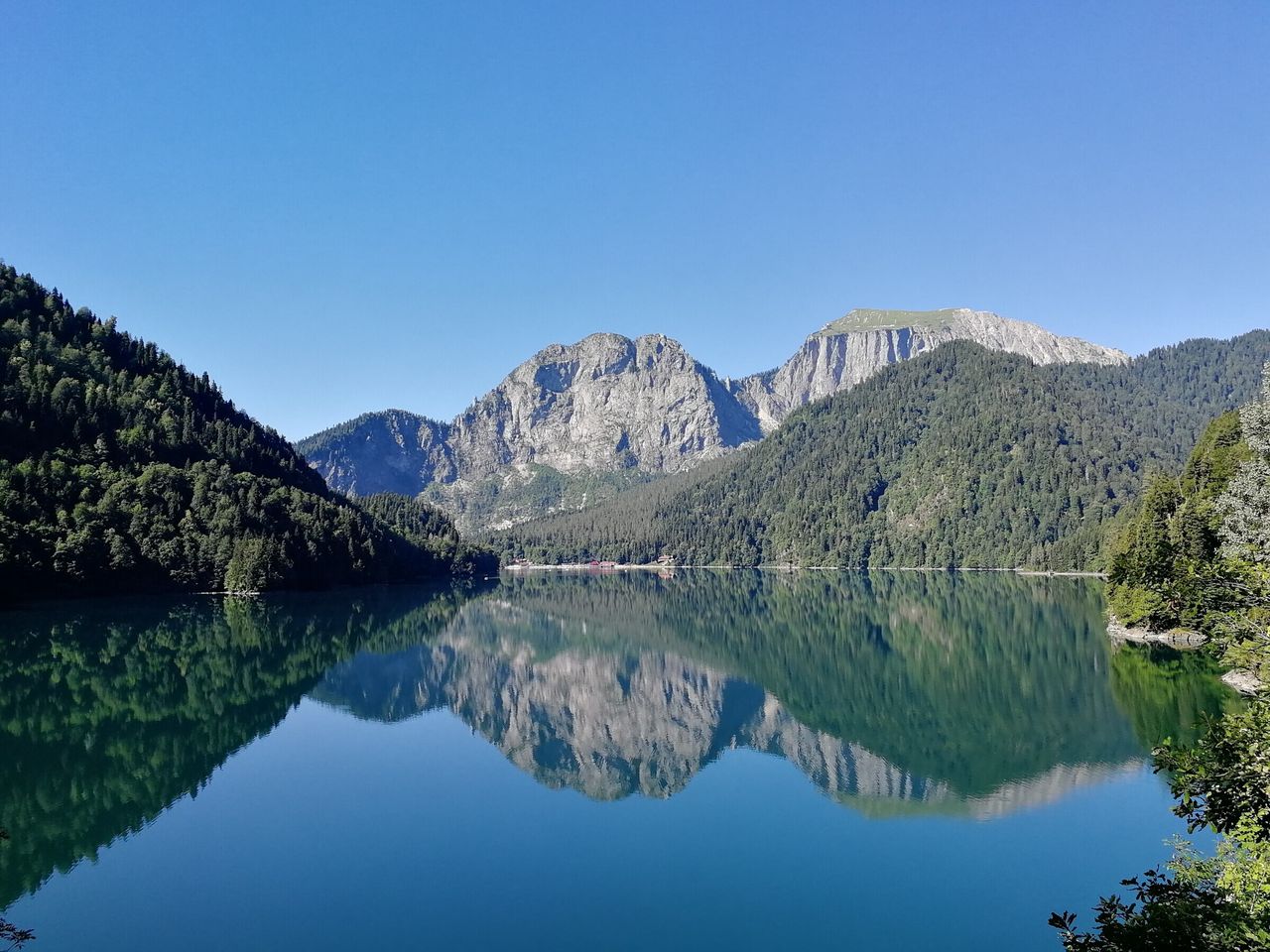Жемчужина Абхазии — озеро Рица | Цена 18000₽, отзывы, описание экскурсии