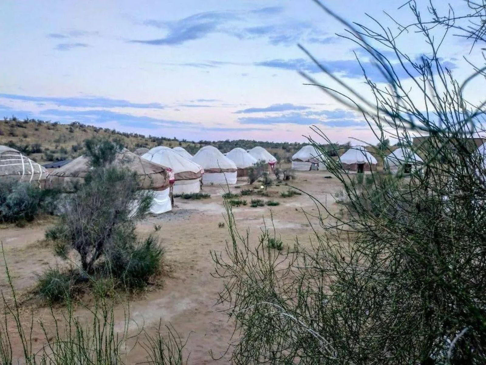 Юрты в лагере Сафари