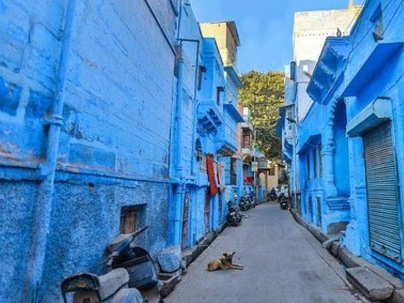 Синий город Джодхпур
