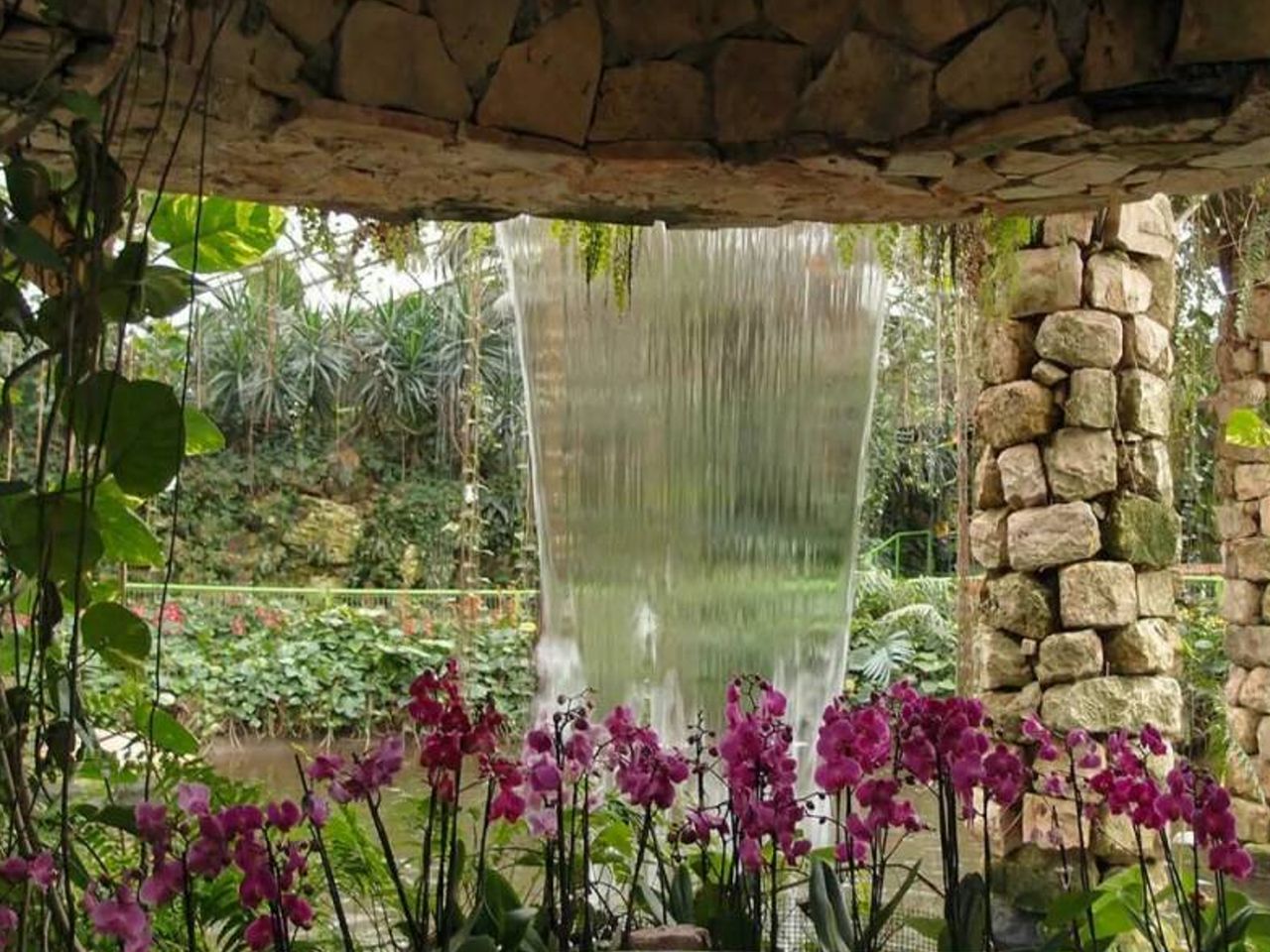 Парк орхидей “Утопия”, парк роз Ротшильда + музей | Цена 500€, отзывы, описание экскурсии