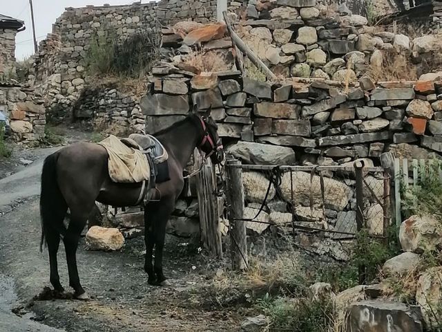 Экскурсия из Владикавказа: Алагирское и Дигорское ущелья — фото 3