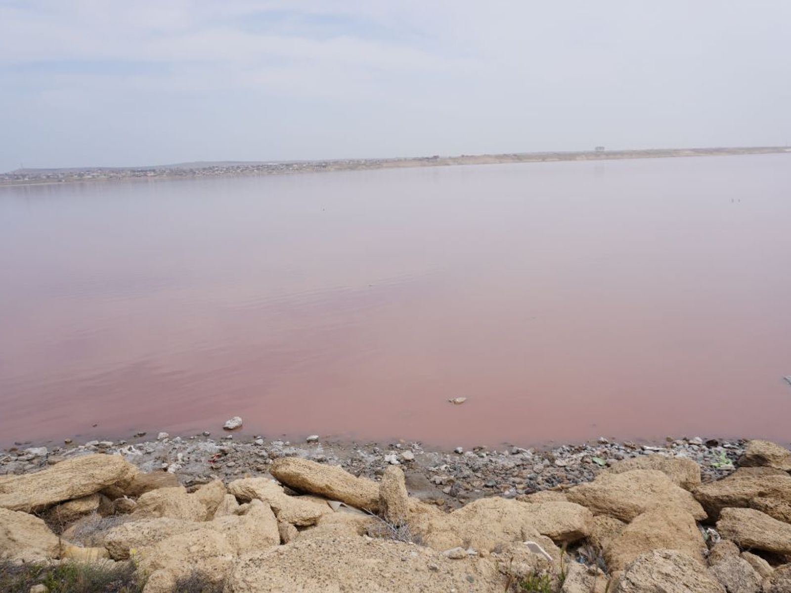 Розовое озеро