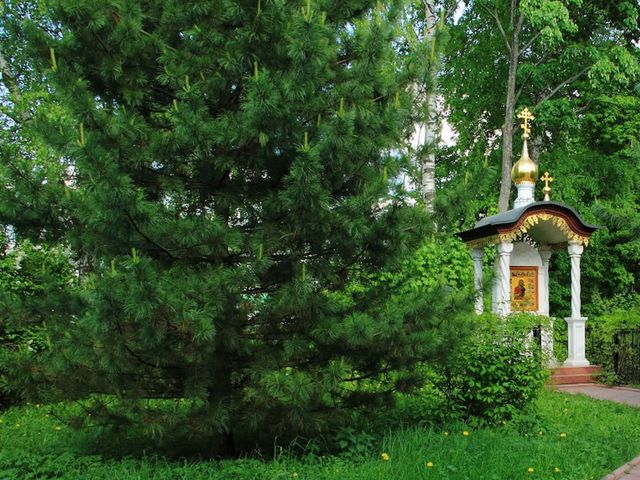 Обзорная групповая экскурсия из Ярославля в Толгский монастырь — фото 3