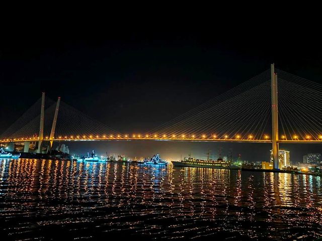 Обзорная экскурсия в группе во Владивостоке на закате — фото 3