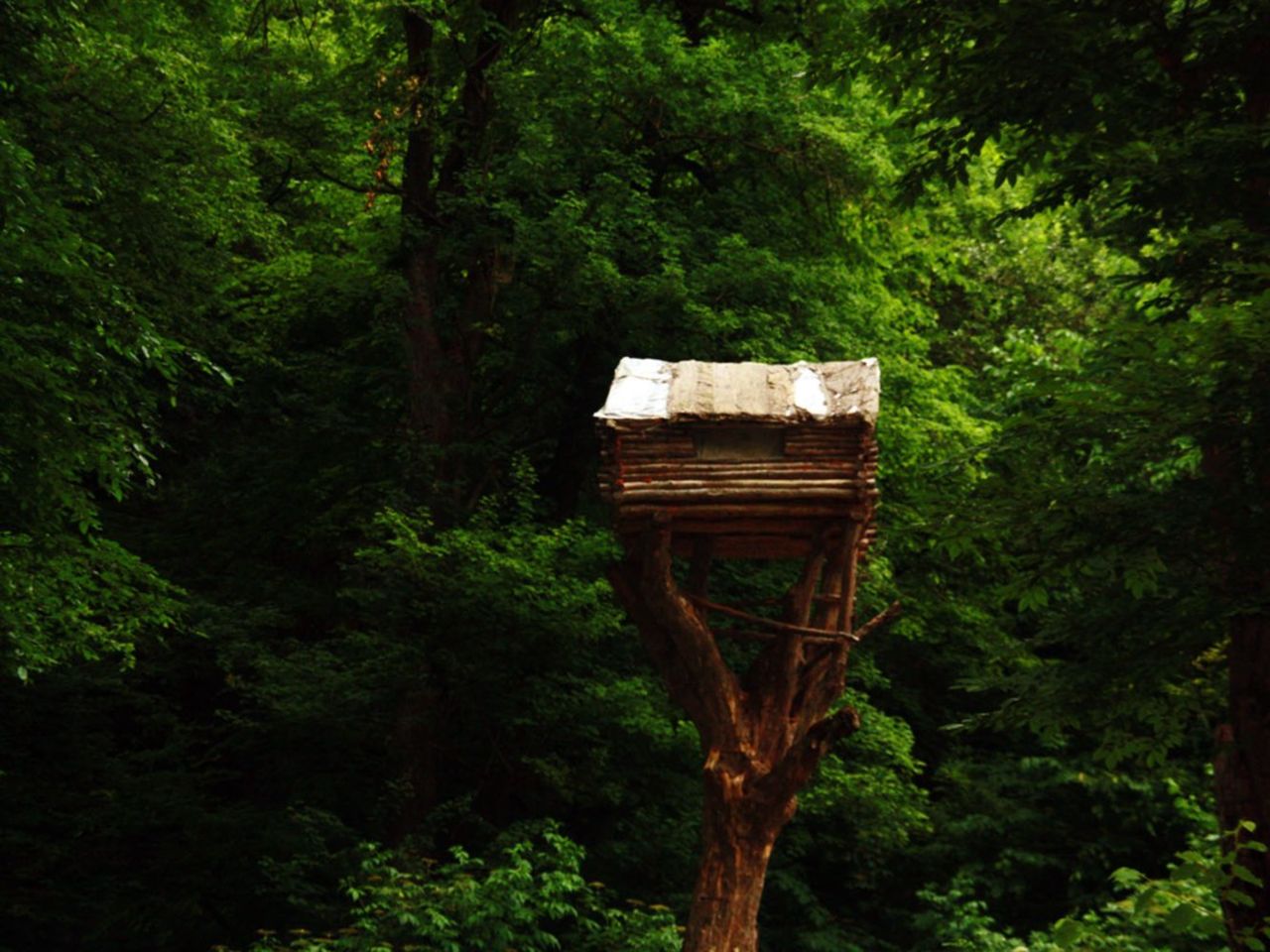 Пешая экскурсия "Сокровища сказочного леса" | Цена 310€, отзывы, описание экскурсии