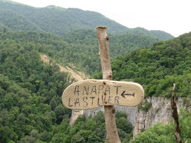 Пешая экскурсия "Сокровища сказочного леса" — фото 2