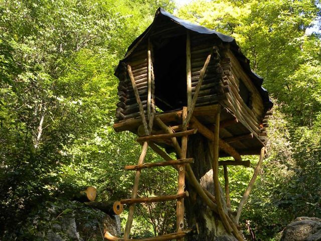 Пешая экскурсия "Сокровища сказочного леса" — фото 3