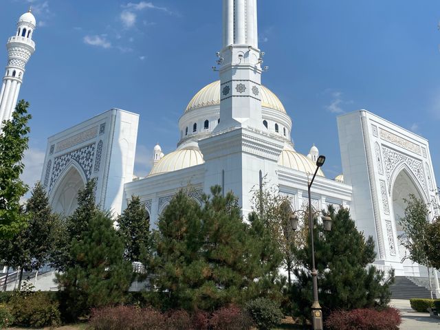 3 чуда Чечни днём и ночью: Шали — Аргун — Грозный — фото 2