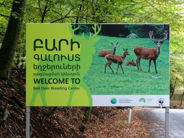 Однодневная пешая экскурсия по Дилижанскому парку — фото 3