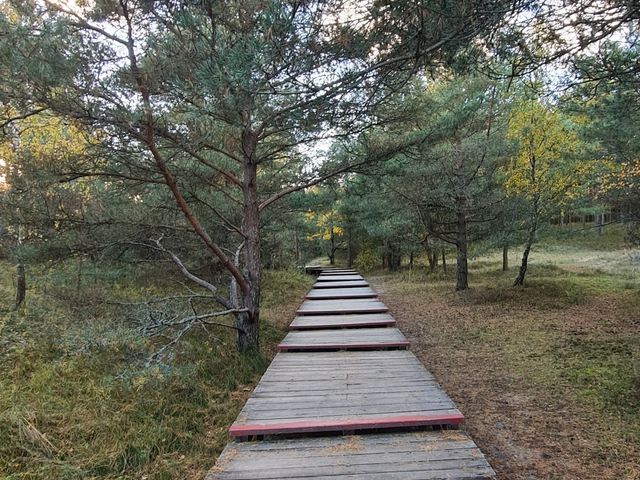 Экскурсия из Калининграда в царство моря, дюн и птичьих голосов — фото 3
