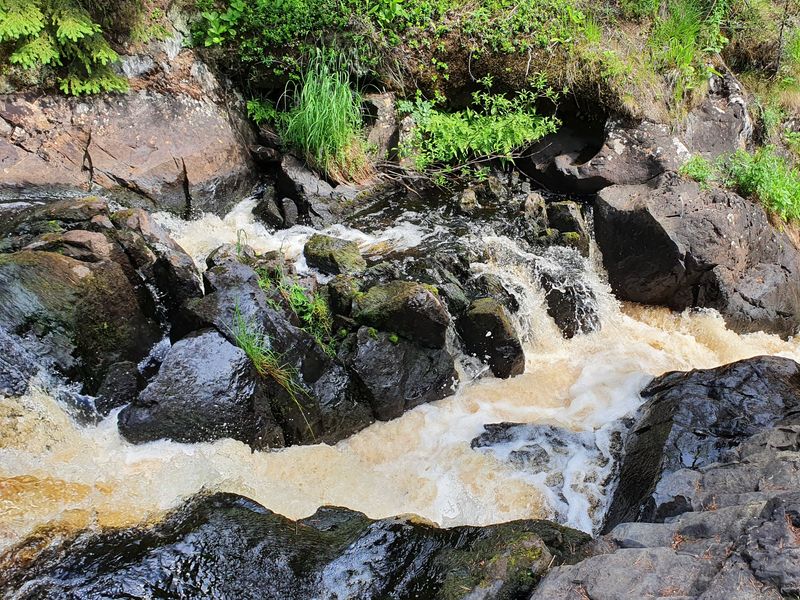 Карелия из Санкт-Петербурга в группе - групповая экскурсия в Санкт-Петербурге на автобусе длительностью более 12 часов с количеством участников более 20 человек цена экскурсии 3100₽