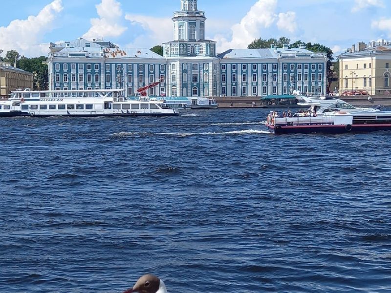 Экскурсия по Петербургу на автомобиле: классика и современность - индивидуальная экскурсия в Санкт-Петербурге на машине гида длительностью 4.5 часа с количеством участников до 4 человек цена экскурсии 14950₽