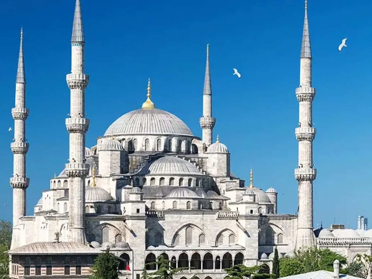 Стамбул: история, культура, жизнь и виды | Цена 180€, отзывы, описание экскурсии
