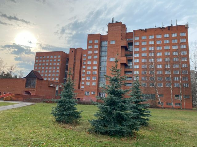 Черноголовка молода и прекрасна — фото 3