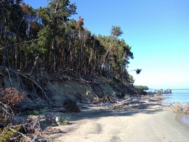 Куршская коса — море впечатлений в райском уголке — фото 2