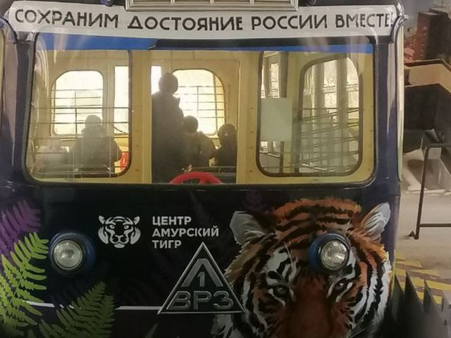 Знакомство с Владивостоком — фото 2