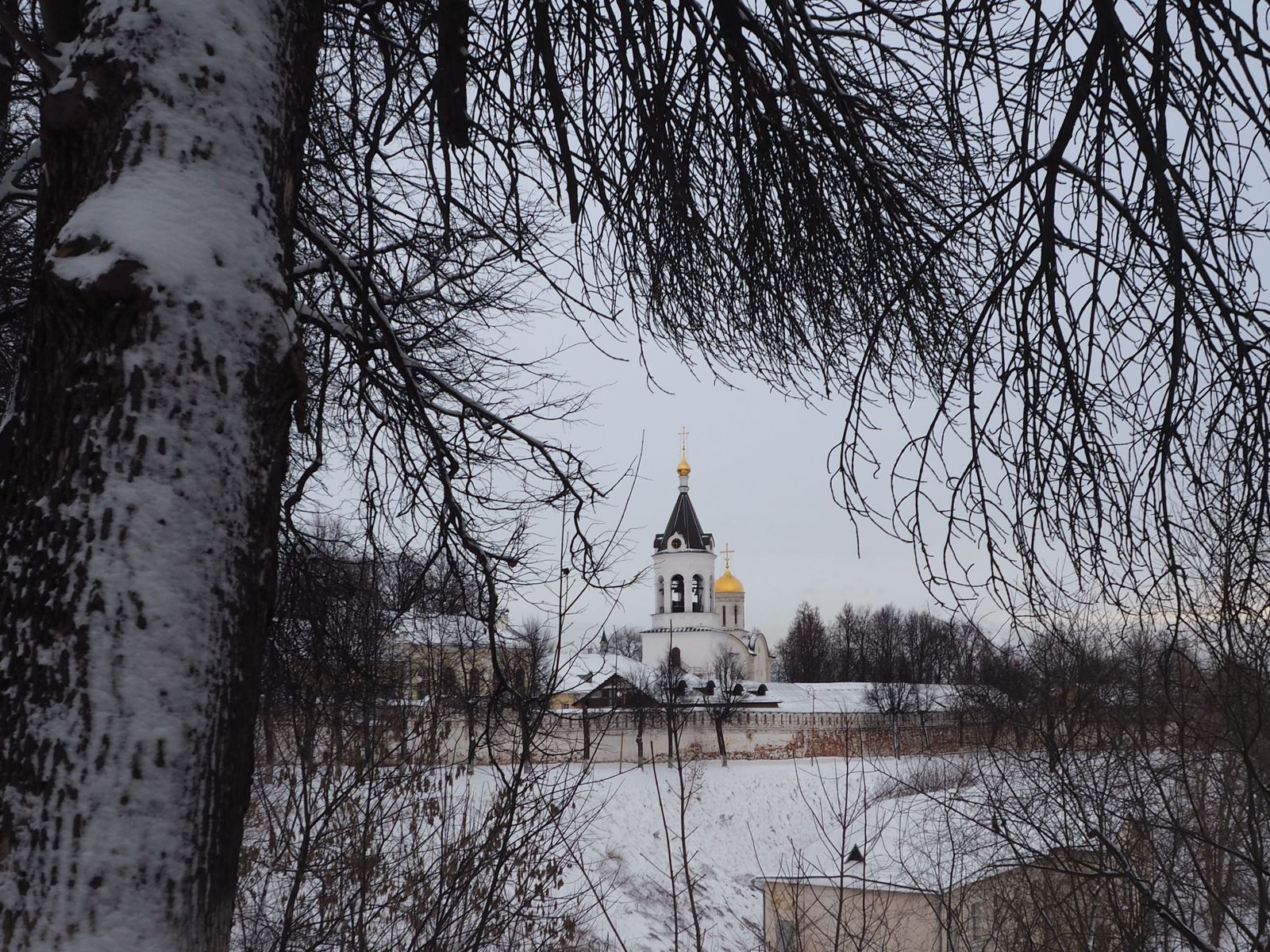 Вид на восточную часть Владимирского кремля (Рождественский монастырь) 