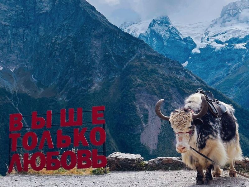 Выше только любовь