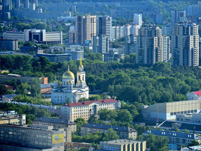 Виды