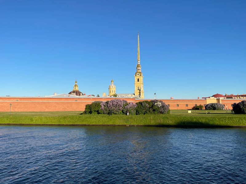 Виды