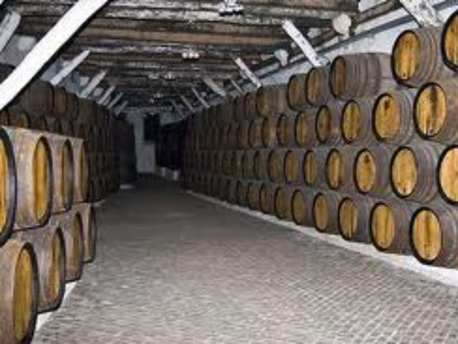  Подвалы известных производителей вина