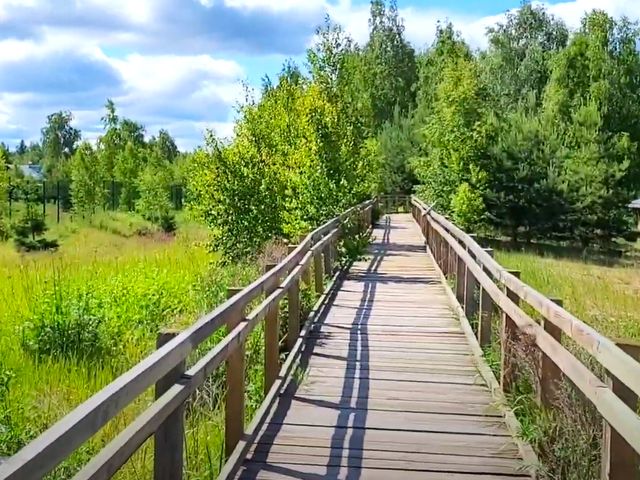 Знакомство с Керженским заповедником — фото 2