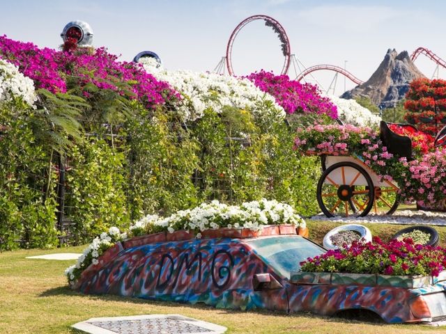 Парк цветов и Global Village Dubai в группе — фото 2