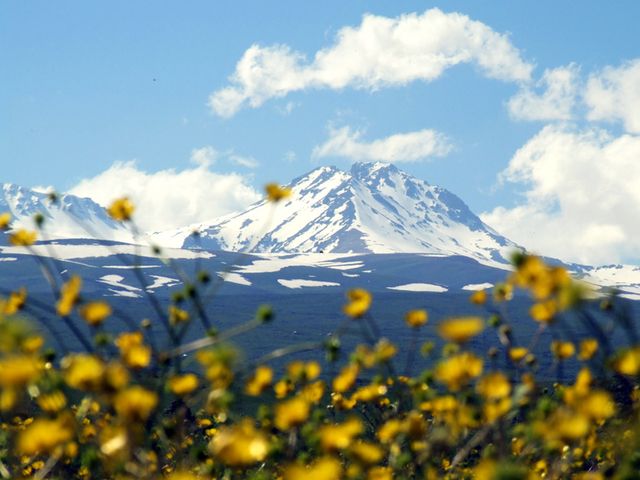 Экскурсия из Еревана: восхождение на Арагац – водопад Гегарот — фото 2