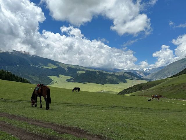 Семейная экскурсия в ущелья и горячие источники — фото 3