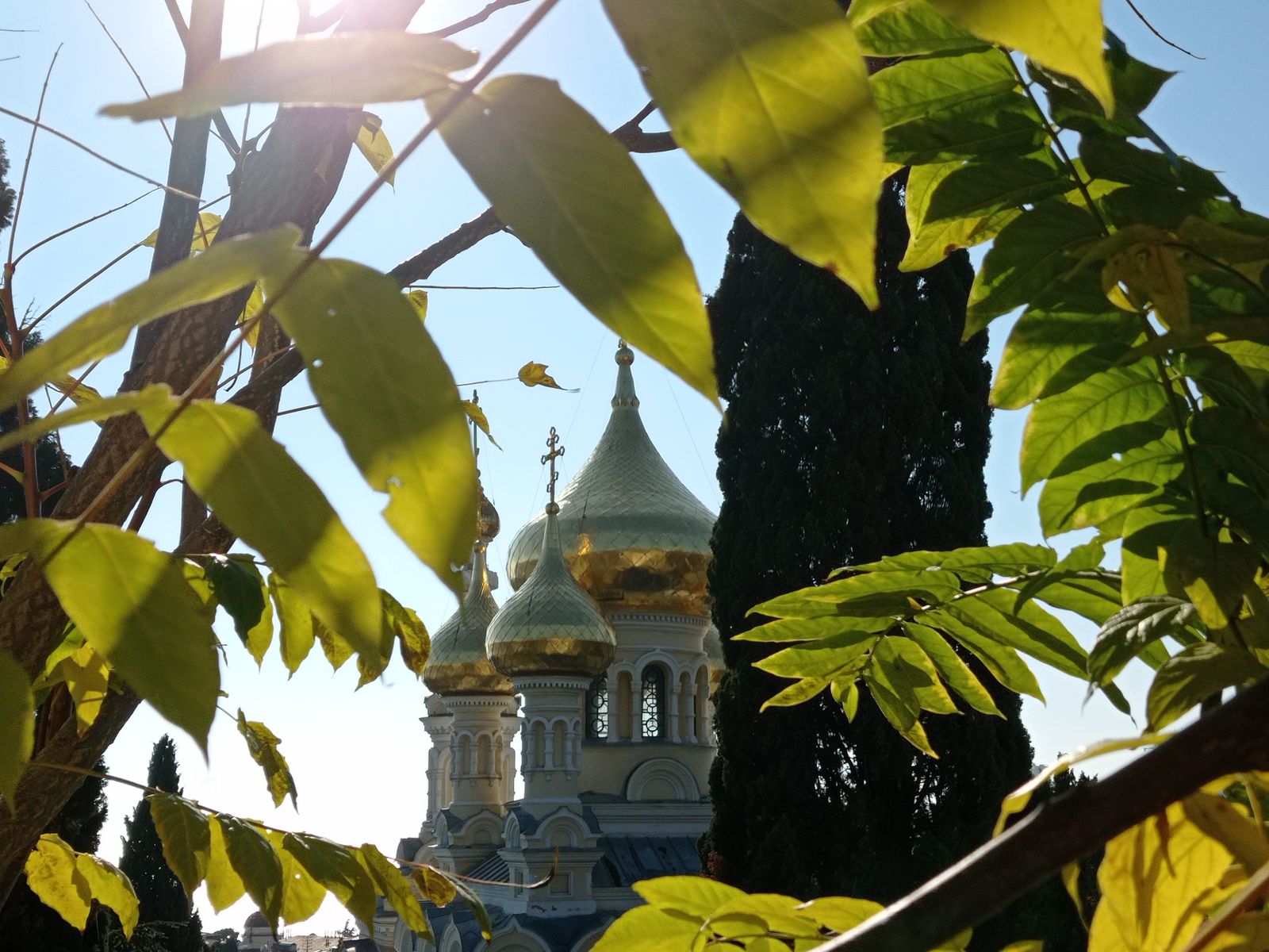 Купола храма Святого благоверного князя Александра Невского