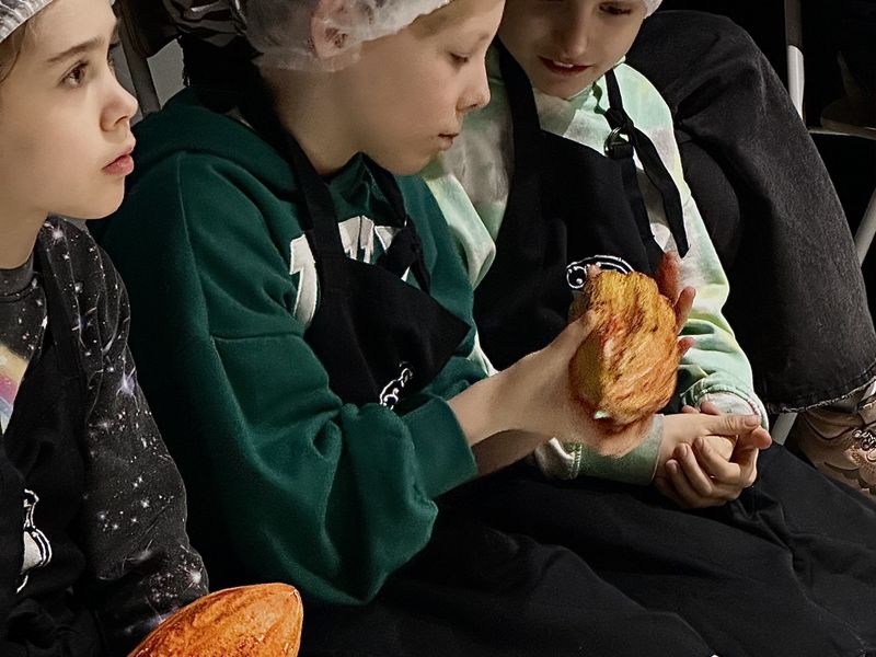 Участники рассматривают макеты какао-плодов 