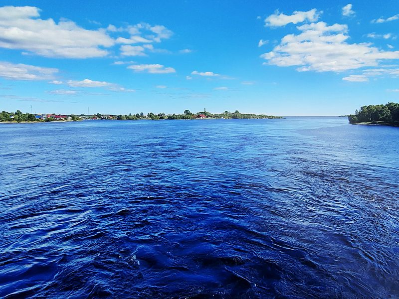 Река Выг впадает в Белое море
