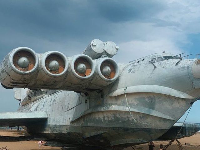 Групповая обзорная экскурсия из Избербаша в Самурский лес+«Лунь» — фото 3