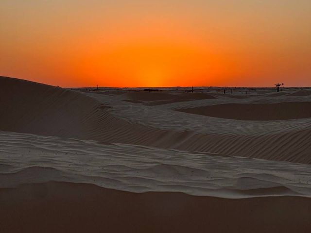 Сахара: даже в песках есть жизнь...