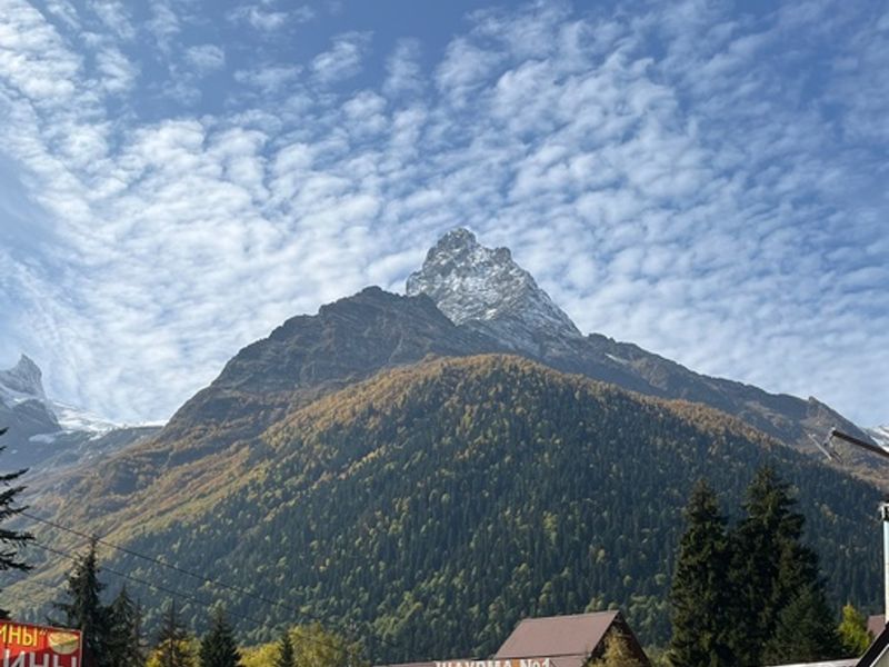 Панорамы