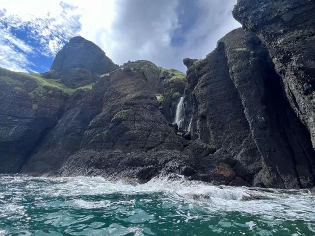 Экскурсия из Южно-Сахалинска на остров Монерон (май — сентябрь) — фото 3