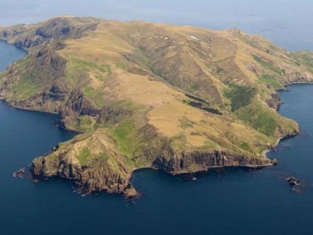 Экскурсия из Южно-Сахалинска на остров Монерон (май — сентябрь) — фото 2