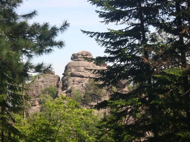 Экскурсия на Красноярские Столбы в группе — фото 3