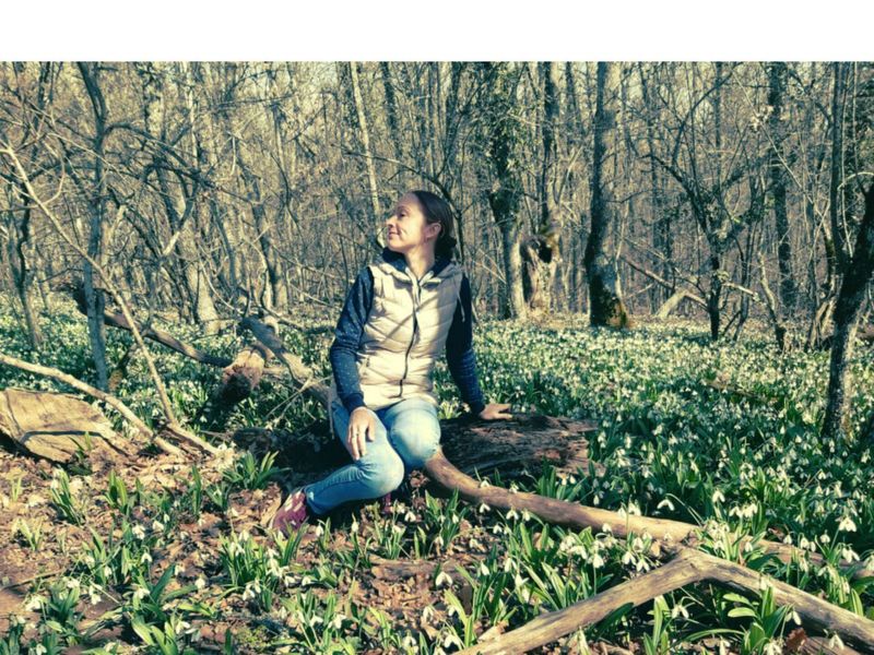 Цветут подснежники