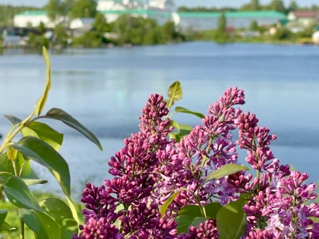 Экскурсия в монастырь Александра Свирского и в Старую Ладогу — фото 3