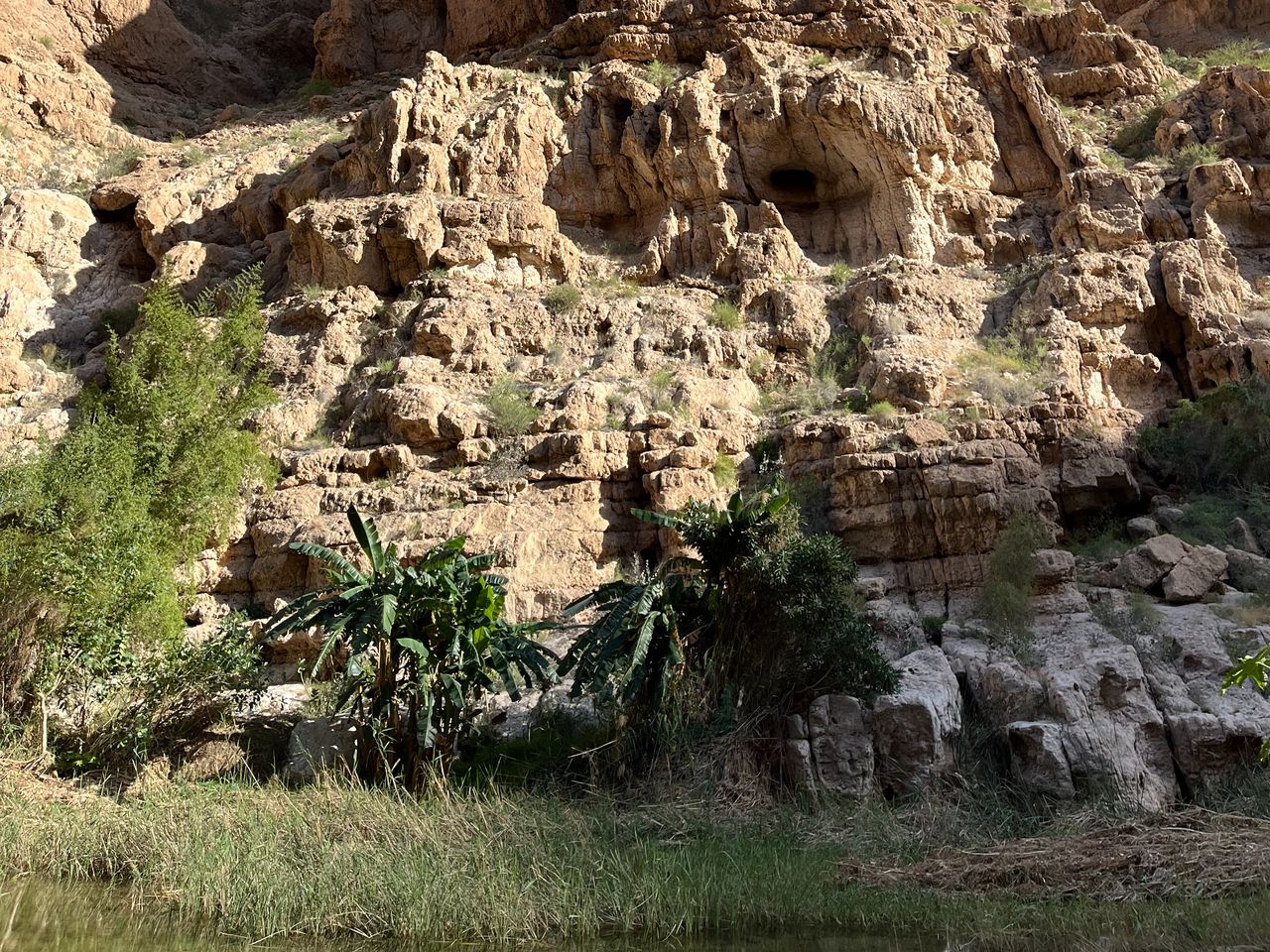 В оазис Вади Шаб и каньон Вади Тиви из Маската | Цена 480$, отзывы, описание экскурсии