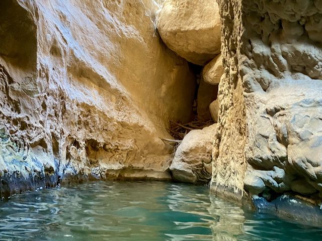 Обзорная экскурсия из Маската в незабываемый оазис Wadi Shab — фото 2