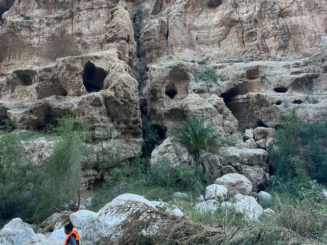 Обзорная экскурсия из Маската в незабываемый оазис Wadi Shab — фото 3